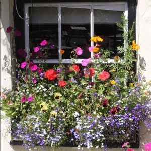 Meet your Posher, Deborah